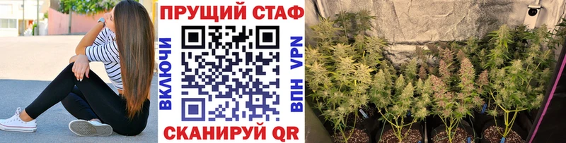 Что такое Верея COCAIN БУТИРАТ АМФ Псилоцибиновые грибы Каннабис СК