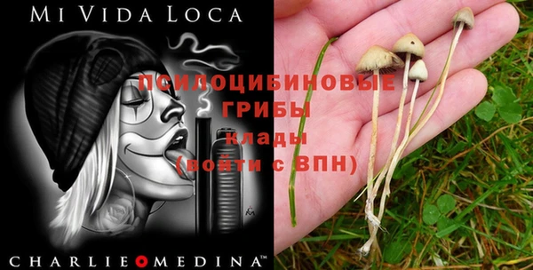 mdpv Балабаново