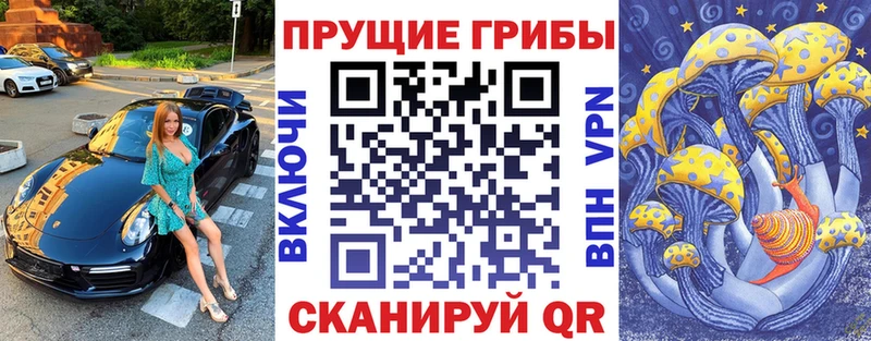 продажа наркотиков блэк спрут сайт Галлюциногенные грибы Magic Shrooms Верея